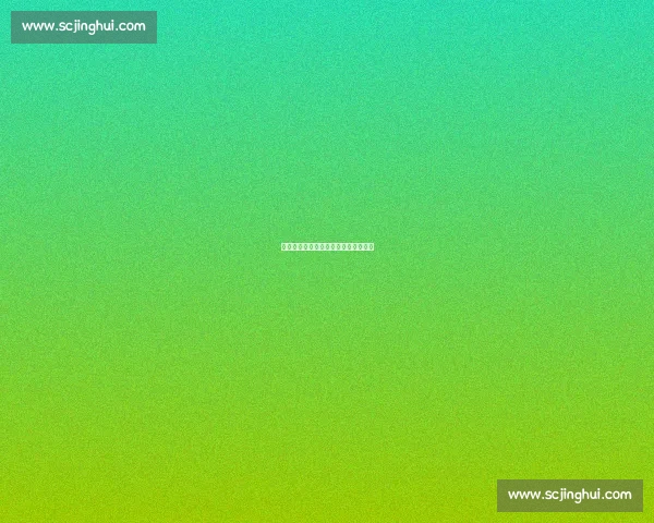 詹姆斯：篮球架起跨越国界的友谊之桥